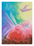 Multicolor Angels Two