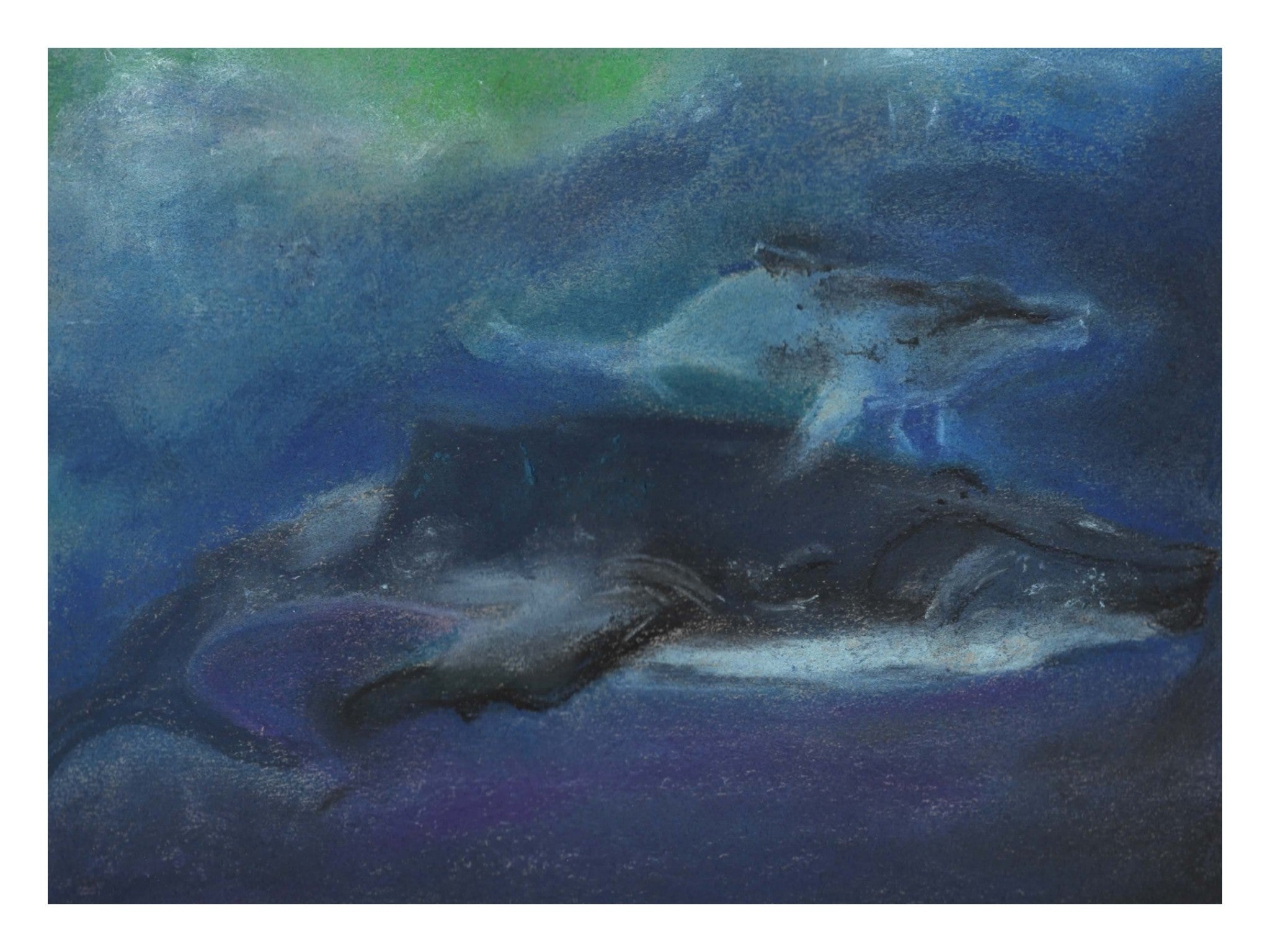 Whale Whimsy